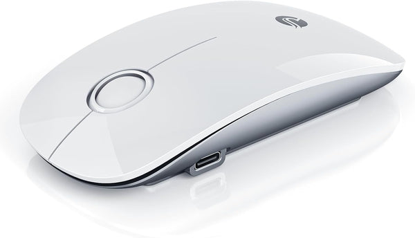 RAPIQUE R306 Pro Wireless Mouse, Dual Bluetooth & 2.4G, Type-C Rechargeable, Silent Click,