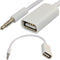 3.5mm Male AUX Audio Plug Jack to USB 2.0 Female Converter Cable