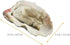 8Pcs 2.4x1.4x0.98in LOGOFUN Artificial Oysters Model Fake Shellfish Seafood Photography Prop Simulation Oysters Prop