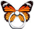 Butterfly Phone Ring Stand Holder, 360 Rotation Finger Ring Grip Stand for Cell Phones and Tablets