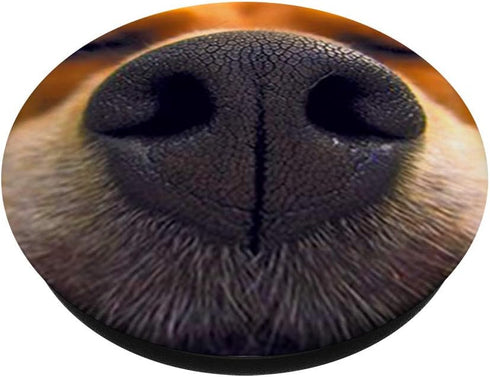 Cute Dog Nose Beagle Photo Design, Best Dog Lover Gift PopSockets Swappable PopGrip