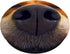 Cute Dog Nose Beagle Photo Design, Best Dog Lover Gift PopSockets Swappable PopGrip