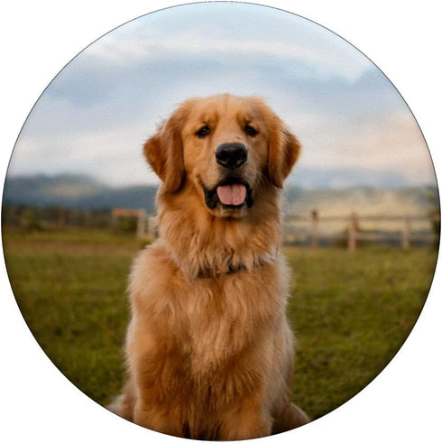 Golden Retriever Cute Dog PopSockets Swappable PopGrip