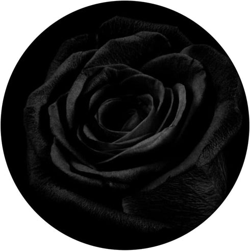 Black Rose Floral Flower - Swappable PopSockets PopGrip