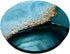 Elegant Blue Agate Pattern PopSockets Standard PopGrip