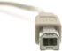 10 2.0 2.0 CableWholesale feet USB Printer/Device Cable, Beige, Type A Male/Type B Male Plug, A Male to B Male High