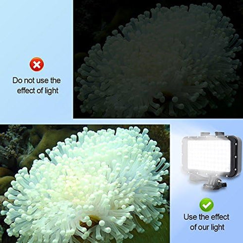 Suptig Underwater Lights Dive Light, 84 LED Waterproof Video Light for GoPro, Canon, Nikon, 164ft Depth