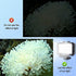 Suptig Underwater Lights Dive Light, 84 LED Waterproof Video Light for GoPro, Canon, Nikon, 164ft Depth