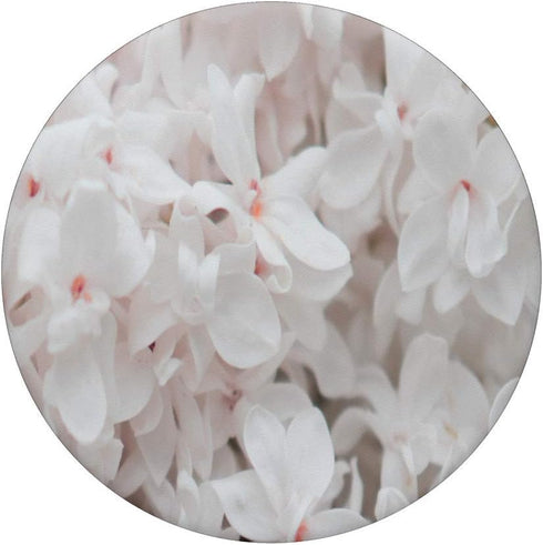 Pink Lilac White Floral Flower Petal Nature Plant Garden PopSockets Grip and Stand for Phones and Tablets