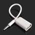 AUX to USB Adapter 3.5mm Male Audio Jack Plug to USB 2.0 Female Converter Cord Cable 2PACK
