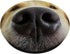 Dog Owner Muzzle Snoot Christmas Golden Retriever Gift PopSockets Standard PopGrip