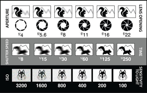 DSLR/mirrorless Photography Cheat Sheets, Credit Card Size Reference Card for Canon, Sony & Nikon