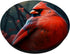 Cardinal Bird PopSockets Standard PopGrip for Phone Accessories