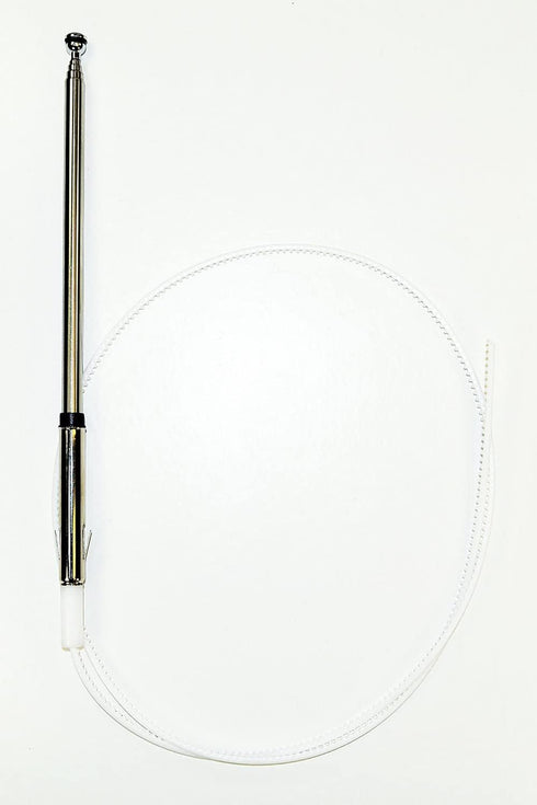 Votex - Power Antenna Mast fits Honda Accord (1990-2002)