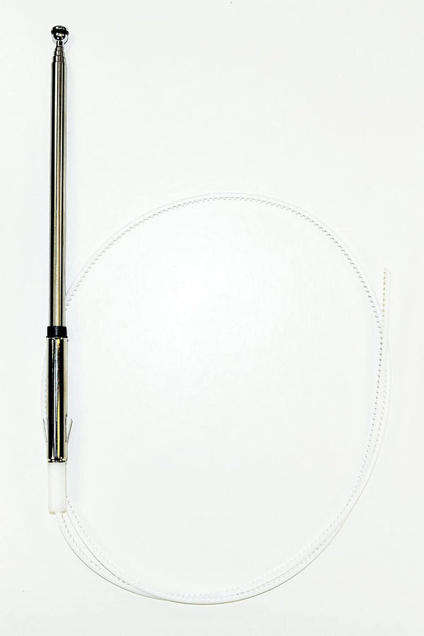 Votex - Power Antenna Mast fits Honda Accord (1990-2002)