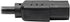 Tripp Lite Standard Computer Power Cord 10A, 18AWG, 4-ft. (NEMA 5-15P to IEC-320-C13) Black