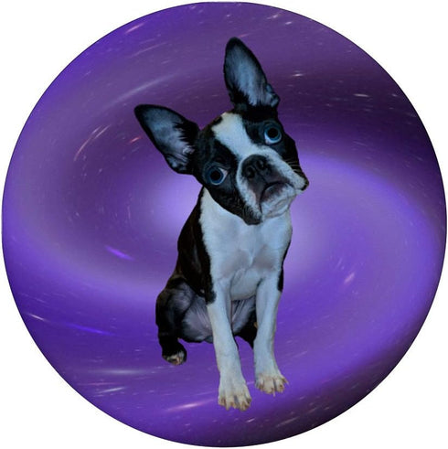 Cute Boston Terrier Prize Idea - I Love My Boston Terrier PopSockets Swappable PopGrip