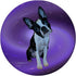 Cute Boston Terrier Prize Idea - I Love My Boston Terrier PopSockets Swappable PopGrip