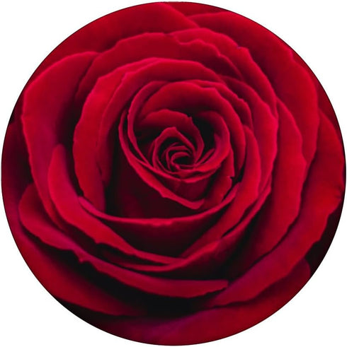 Red Rose Flower Floral PopSockets Standard PopGrip