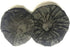 100 Pack Black Stretchable Headphone Ear Covers, Sanitary Non-Woven Headset Covers for Gaming Headphones