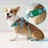 Protective Airtag Case for Dog Collar, Waterproof Holder Compatible with Apple AirTag, Lightweight Soft Anti Scratch