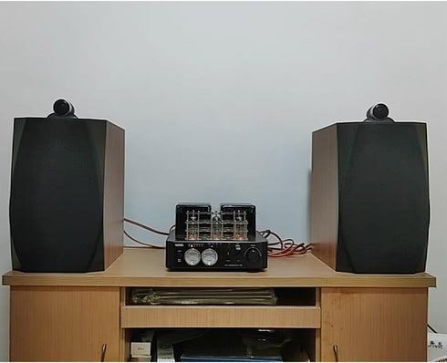 Flushbay HiFi Tweeter 4 ohm, 25-Core Ultra-high Pitch Loudspeaker for Home Audio Theater KTV Car Treble