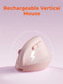 DAREU Hands,2.4GHz 64 Click,3 Ergonomic Vertical Wireless Mouse for Small / BT Dual Mode,Optical Vertical Mice