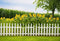 Leyiyi 5x3ft Spring Natural Scenery Photography Backdrop with Yellow Sunflowers and White Wooden Fence