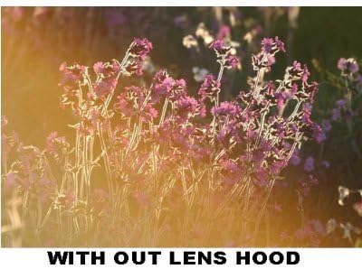 Polaroid 55mm Tulip Lens Hood