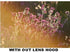Polaroid 55mm Tulip Lens Hood