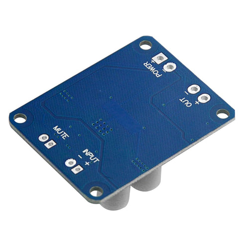 XINGYHENG 2Pcs TPA3118 Single Channel Digital Audio Power Amplifier Board Module, 1X60W