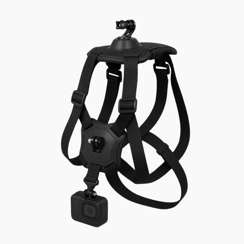 Ultimaxx Action Mount Harness for Pets (Compatible with Most Action Cameras)