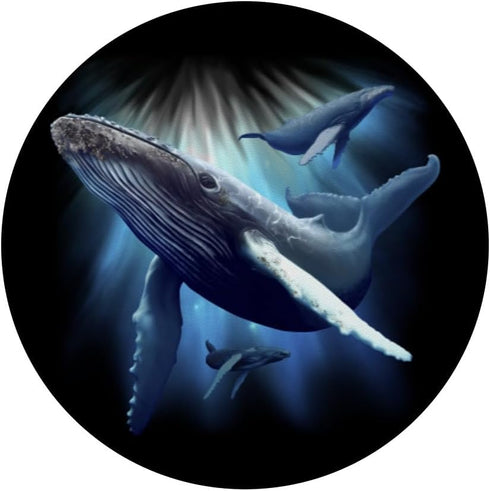 Blue Whale Humpback Marine Sea Animal Ocean Save Whales PopSockets Standard PopGrip