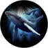 Blue Whale Humpback Marine Sea Animal Ocean Save Whales PopSockets Standard PopGrip