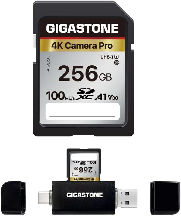 GIGASTONE 256GB SD Card with USB Type C Reader, V30 SDXC Memory Card for 4K Ultra HD Video, Mini Case Included