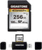 GIGASTONE 256GB SD Card with USB Type C Reader, V30 SDXC Memory Card for 4K Ultra HD Video, Mini Case Included