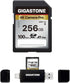 GIGASTONE 256GB SD Card with USB Type C Reader, V30 SDXC Memory Card for 4K Ultra HD Video, Mini Case Included
