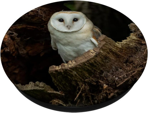 Owl Owls Cute Bird Animal PopSockets Swappable PopGrip
