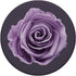 Rose in Purple Shade on Grey Background PopSockets Swappable PopGrip
