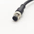 M12 12 Pin Male Connector Cable, A Code Straight Molding Cable for Industrial Molded Cable AWG26 (2Meter)