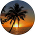 Realistic Sunset Ocean Palm Tree Photo PopSockets Standard PopGrip Tropical Sunrise