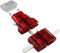 ROAD WARRIOR International Travel Plug Adapter, Europe/UK/Australia/USA/India/China, Does Not Convert Voltage, Slim