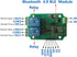DSD TECH 2 Channel Bluetooth 4.0 BLE Relay Module for iPhone and Android(12V) by DSD TECH