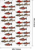 YQxwJL Salmon Print Studio Backdrop, Large Photo Backdrop for Professional Photography Studio and Events(No Stand)
