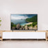 STOBOK 2pcs 32-55 Inch Universal Tv Stand Legs, Plastic Tabletop Mount Brackets for Televisions, Easy Install