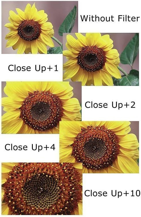 52mm Close-Up Filter Set (+1, 2, 4 and +10 Diopters) Magnification Kit for Canon, Olympus, Pentax, Sony