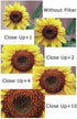 52mm Close-Up Filter Set (+1, 2, 4 and +10 Diopters) Magnification Kit for Canon, Olympus, Pentax, Sony