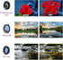 Phone Camera Lens Kit, 6 Lenses + LED Light + Remote Shutter + Tripod for iPhone & Android