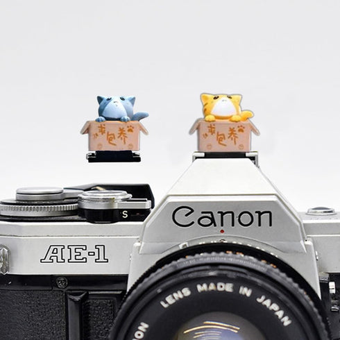ZOSTLAND Adorable SLR Camera Hot Shoe Boot Cover Cap, Compatible with Sony Fuji Canon Nikon Pentax (2pcs Cat)