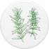 Big Herbs Line Graphic Rosemary Rosemary Herbs Plant Retro Vintage for Gardener - Rosemary PopSockets Swappable PopGrip